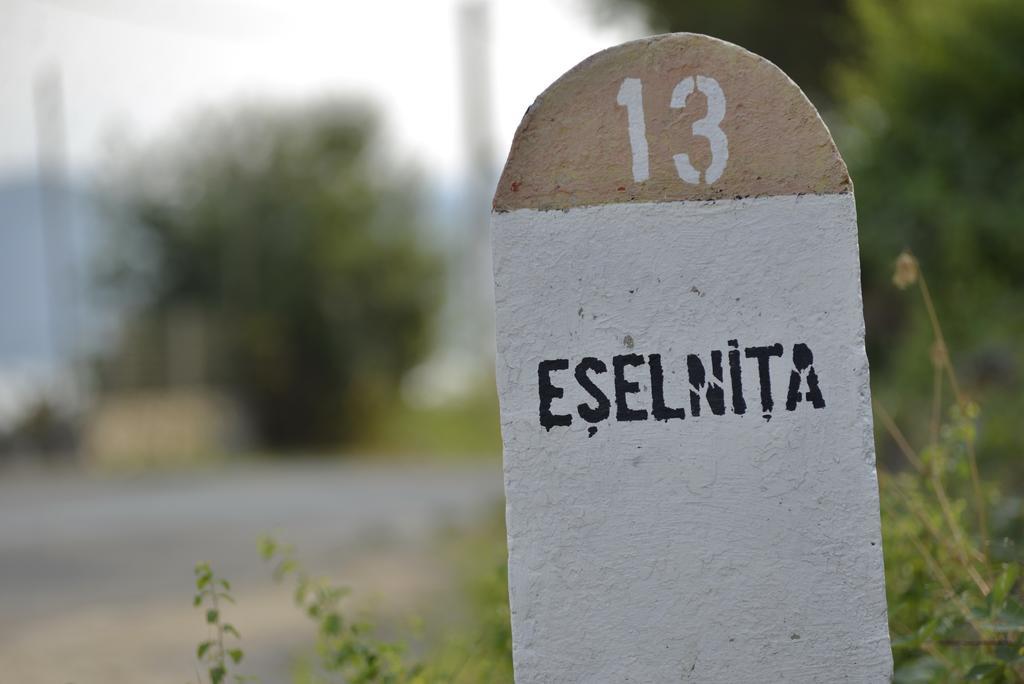 מלון Ieşelniţa Casa Marina מראה חיצוני תמונה